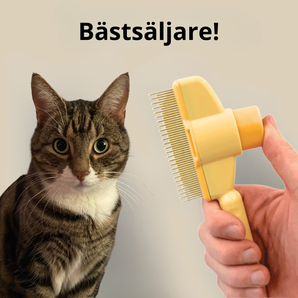 PurrfectBrush™ - Få ett hårfritt hem