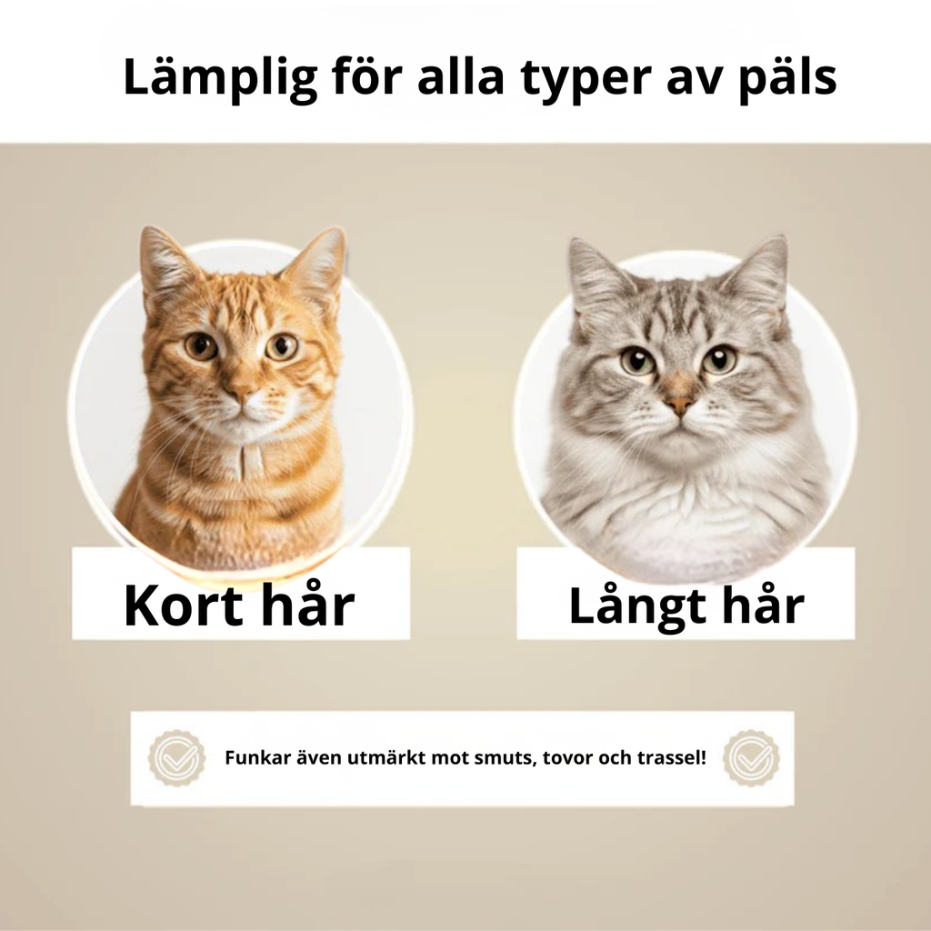 PurrfectBrush™ - Få ett hårfritt hem