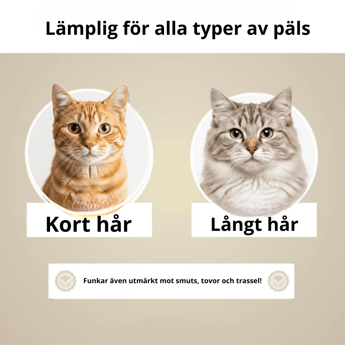 PurrfectBrush™ - Få ett hårfritt hem